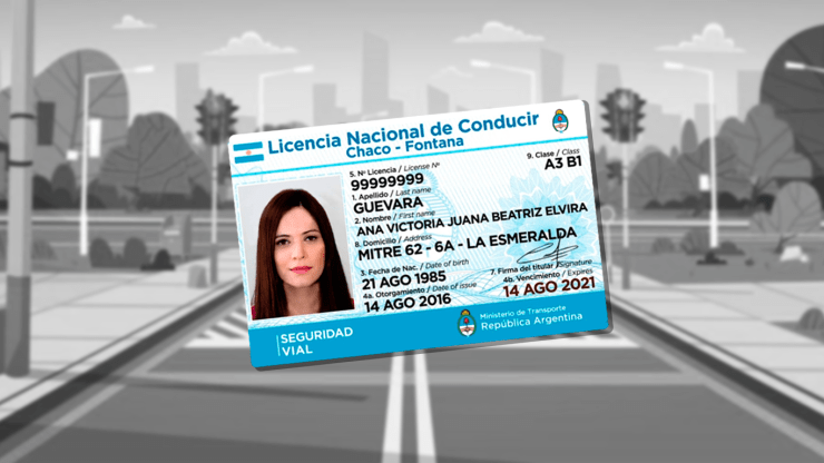 Guía del Buen Conductor